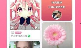 忍者村最新爆料视频下载,最新爆料视频深度解析