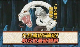 五月高招s爆料最新,最新爆料揭示高考政策与招生动态”