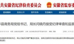 利辛新闻爆料最新消息,最新爆料揭示惊人事件，详情即将揭晓！