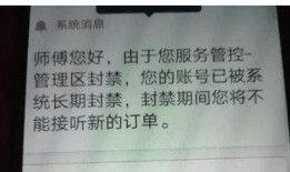上海网约车最新爆料,行业变革在即，司机与乘客权益如何保障？