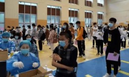 辽宁饭店爆料案件最新消息,真相逐步浮出水面