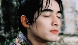 胡歌最新动态爆料,揭秘神秘恋情与事业新动向