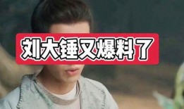 刘大锤最新爆料总结,娱乐圈最新重磅爆料大汇总