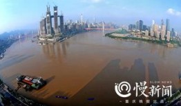 重庆洪水最新爆料新闻,城区告急，全力抗洪救灾进行时