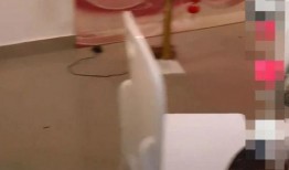 酒店最新爆料视频播放,最新爆料视频带你一探究竟